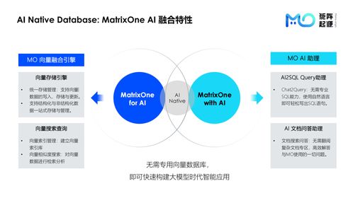 MatrixOne Meetup 上海站回顧 技術碰撞與開源生態的融合之夜